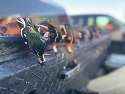 Lakefront Property for sale in McIntosh County, Georgia