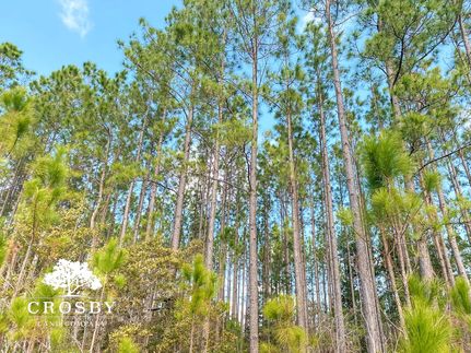 Property for sale in Long County, Georgia