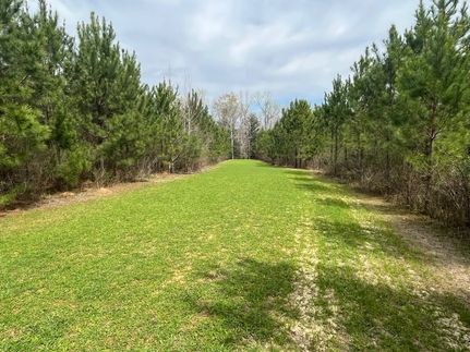 Property for sale in Butler County, Alabama