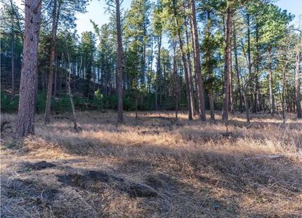 Hunting Land for sale in Pennington County, South Dakota