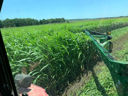 Property for sale in Coal County, Oklahoma