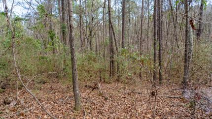 Residential Property for sale in Shelby County, Alabama