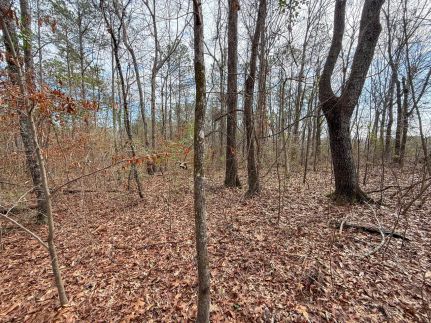 Residential Property for sale in Shelby County, Alabama