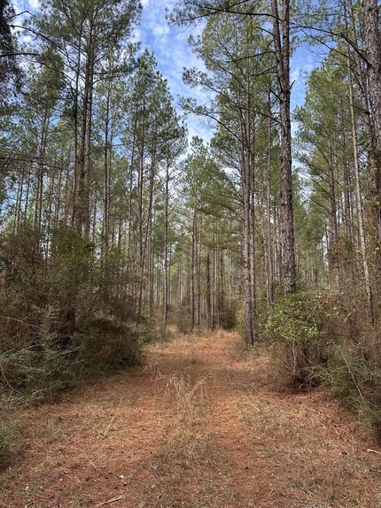 Recreational Property for sale in Covington County, Alabama