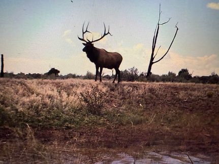 Property for sale in La Plata County, Colorado