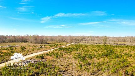 Hunting Land for sale in Long County, Georgia