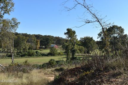 Hunting Land for sale in Marshall County, Mississippi