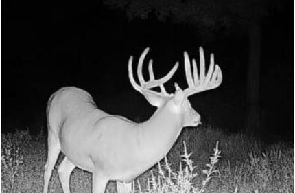 Hunting Land for sale in Marion County, Illinois