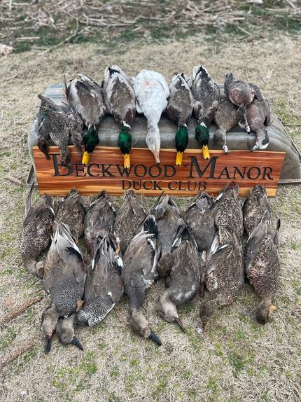 Hunting Land for sale in Arkansas County, Arkansas