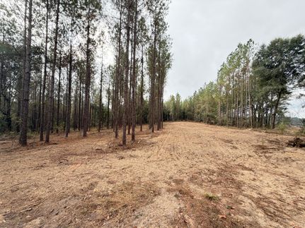 Property for sale in Crenshaw County, Alabama