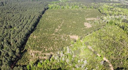 Property for sale in Jackson Parish, Louisiana