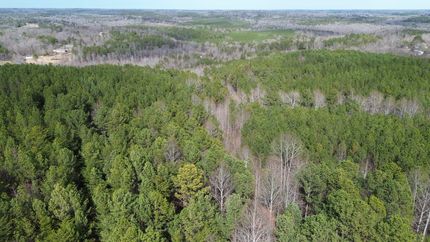 Undeveloped Land for sale in Winston County, Alabama