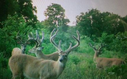 Farm Property for sale in Pontotoc County, Oklahoma