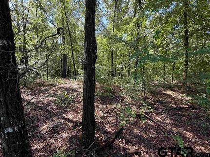 Property for sale in Cherokee County, Texas