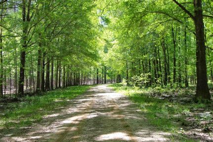 Recreational Property for sale in Bullock County, Alabama