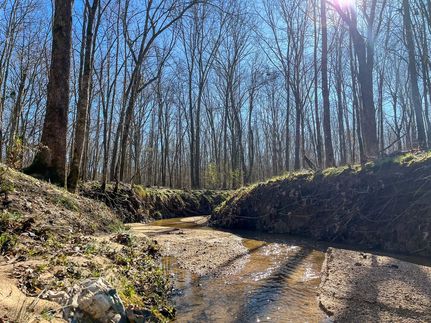 Property for sale in Newton County, Mississippi