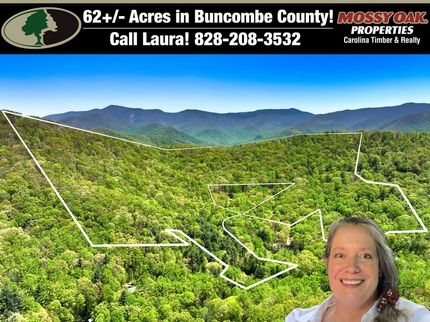 Property for sale in Buncombe County, North Carolina