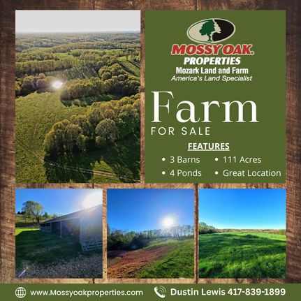 Undeveloped Land for sale in Stone County, Missouri