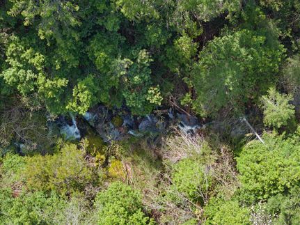 Timberland Property for sale in Butte County, California