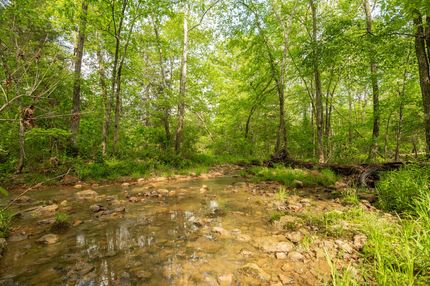 Hunting Land for sale in Bollinger County, Missouri
