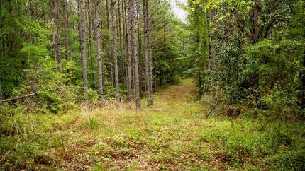 Property for sale in Wilkinson County, Mississippi