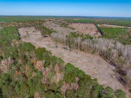 Hunting Land for sale in Fairfield County, South Carolina