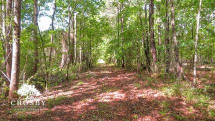 Recreational Property for sale in Aiken County, South Carolina