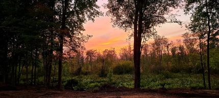 Property for sale in Cass County, Michigan