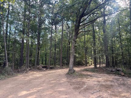 Hunting Land for sale in Lincoln County, Arkansas