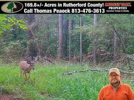 Hunting Land for sale in Rutherford County, North Carolina