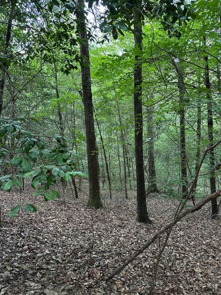 Property for sale in Conecuh County, Alabama