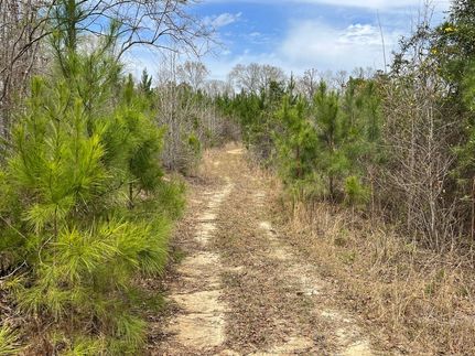 Property for sale in Crenshaw County, Alabama