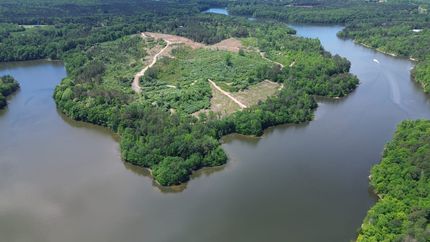 Property for sale in Marion County, Alabama