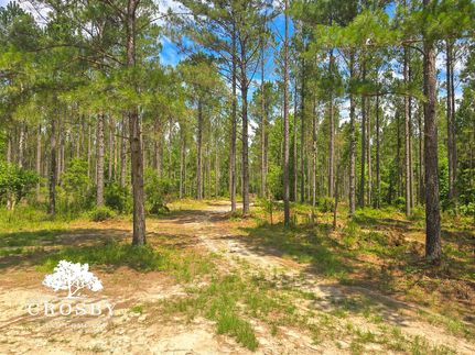 Property for sale in Burke County, Georgia