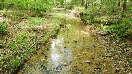 Hunting Land for sale in Hickman County, Tennessee
