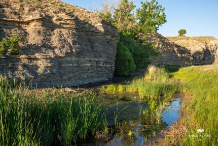 Farm Property for sale in Prowers County, Colorado