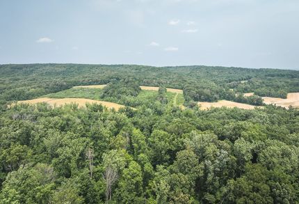 Hunting Land for sale in Gallatin County, Illinois