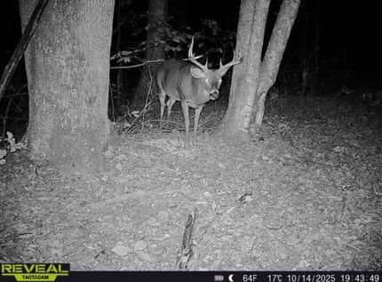 Timberland Property for sale in Scioto County, Ohio