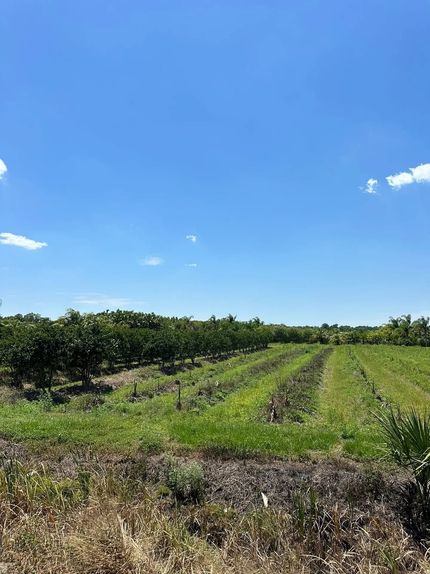 Farm Property for sale in Seminole County, Florida