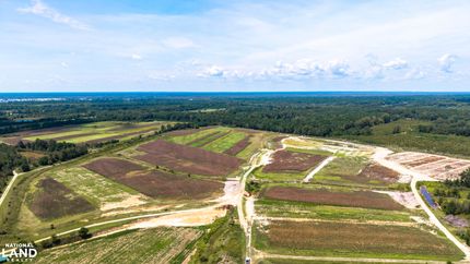 Hunting Land for sale in Clarendon County, South Carolina