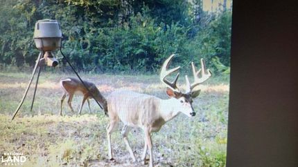 Property for sale in Barbour County, Alabama