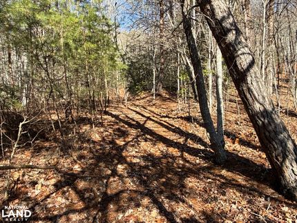 Property for sale in Buncombe County, North Carolina