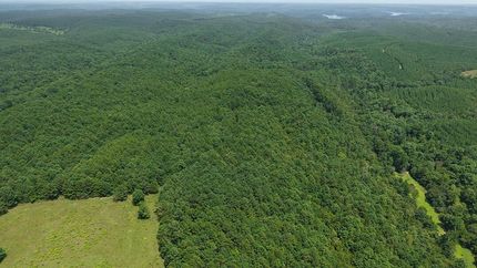 Recreational Property for sale in Polk County, Arkansas
