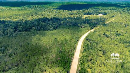 Undeveloped Land for sale in Liberty County, Florida