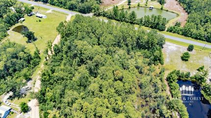Hunting Land for sale in Liberty County, Florida
