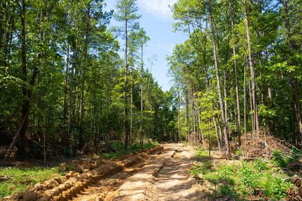 Property for sale in Ripley County, Missouri