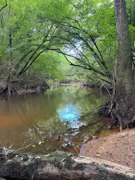 Property for sale in Pickens County, Alabama