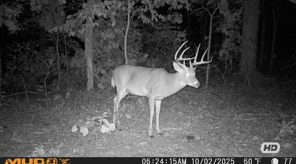 Farm Property for sale in Camden County, Missouri