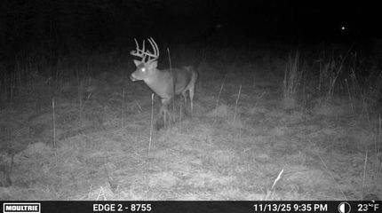 Property for sale in Van Buren County, Michigan