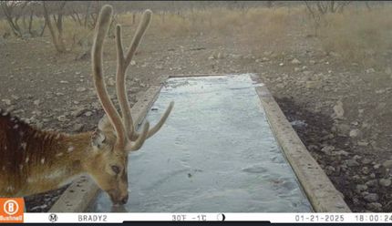 Property for sale in McCulloch County, Texas